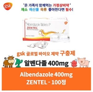 젠탈 ZENTEL 알벤다졸 400mg 100정 x 1박스 GSK